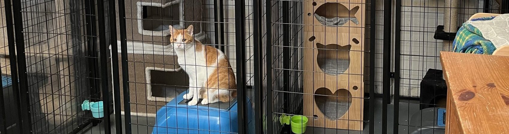 Privé binnenverblijf in Maasland