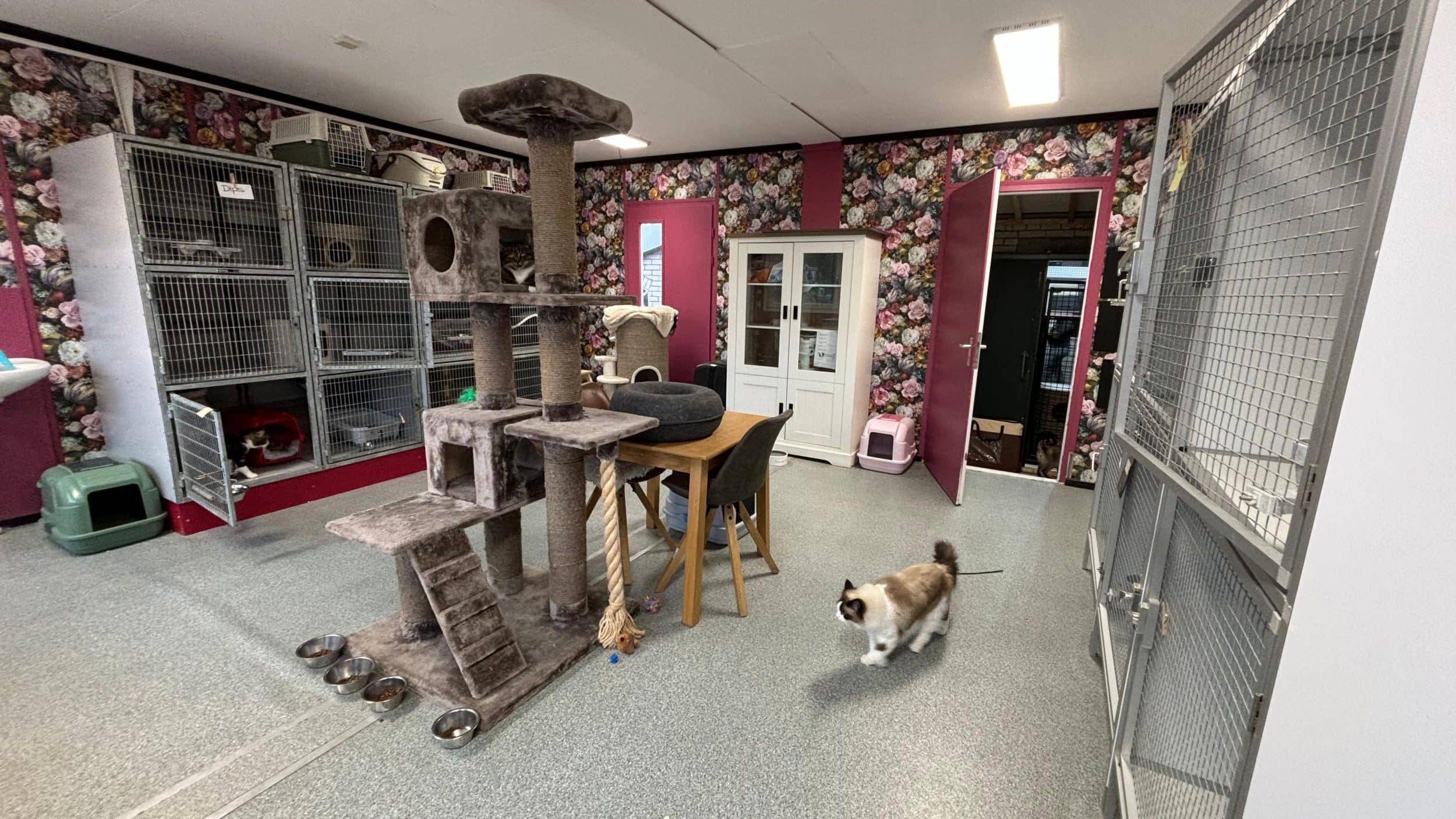 Huiskamer met buiten in Maasland