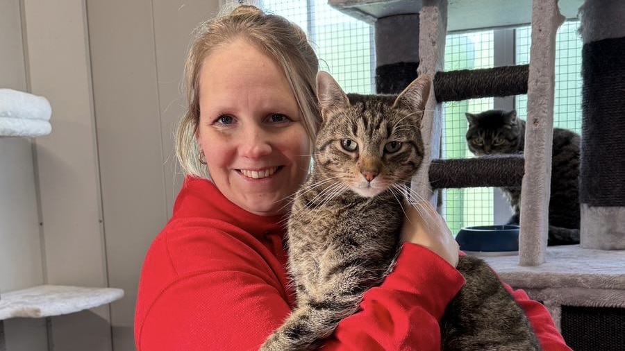 Rianne met een kat in het pension in Maasland
