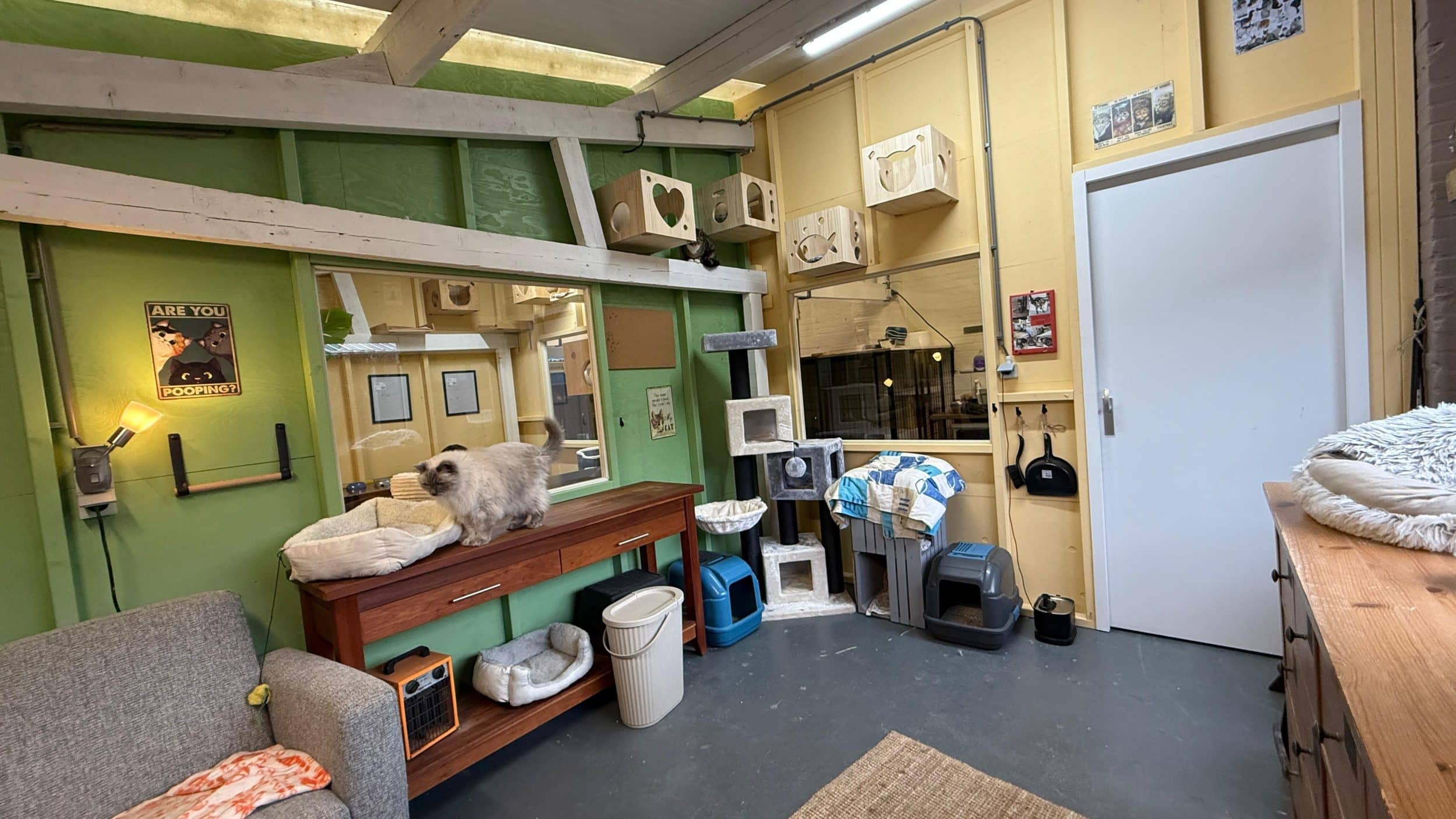 Woonkamer in Maasland